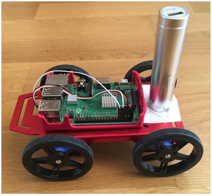 Projekt i wykonanie systemu sterowania głosem robota mobilnego 